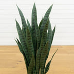 Nearly Natural 35 in Artificial Sansevieria Plant with Black Planter - Image 5