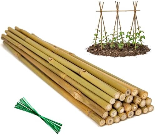 Plant Stakes Natural Bamboo Sticks - 25 Pcs Bamboo Garden Stakes for Plants 4 FT Plant Support Sticks with Twist Ties for Tomatoes Grapes Beans Flowers Indoor Outdoor Potted Climbing Plants by Oairse