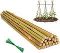 Plant Stakes Natural Bamboo Sticks - 25 Pcs Bamboo Garden Stakes for Plants 4 FT Plant Support Sticks with Twist Ties for Tomatoes Grapes Beans Flowers Indoor Outdoor Potted Climbing Plants by Oairse