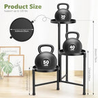 3 Tier Corner Plant Stand Indoor Outdoor, Metal, 10 Inch Wide Tray, Black - Image 2