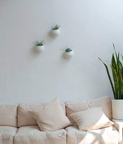 Mkono 4 Inch Wall Mounted Planter Round Ceramic Hanging Plant Holder Decorative Flower Display Vase Succulent Pots for Indoor Plants, Set of 3, White (Plants NOT Included) (Pack of 2) - Image 3