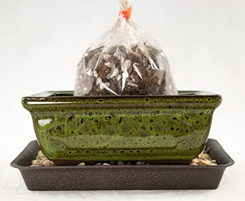 6'' Rectangular Moss Green Shohin Bonsai Pot + Soil + Tray + Rock + Mesh Kit, Blue,green by Unknown