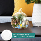 2pcs Globe Hanging Terrarium Glass Flower Plant Display for Patio - Image 5