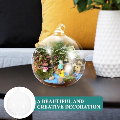 2pcs Globe Hanging Terrarium Glass Flower Plant Display for Patio - Image 5