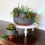The HC Companies 8 Inch Capri Bowl, Faux Concrete with Copper Base, 5-Pack - Image 5