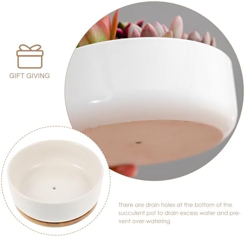 White Ceramic Succulent Plant Pot with Bamboo Tray and Drain Holes - Image 3