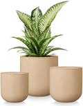 vancasso Ceramic Plant Pots, 4+5+6 inches, Set of 3, Planters with Drainage Hole, Flower Pots Planters Pots for Indoor Plants, Modern Indoor Decorative Garden Pot, Home Decor, Brown by vancasso