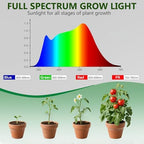 Shyineyou Small Grow Lights for Indoor Plants Full Spectrum,Plant Lights for Indoor Growing, Clip on Plant Grow Light with 3/9/12H Timer for Succulents,Small Plants, 3-Pack - Image 5