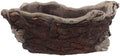 NUOBESTY Vintage Cement Tree Root Planter for Bonsai and Succulents Coffee by NUOBESTY