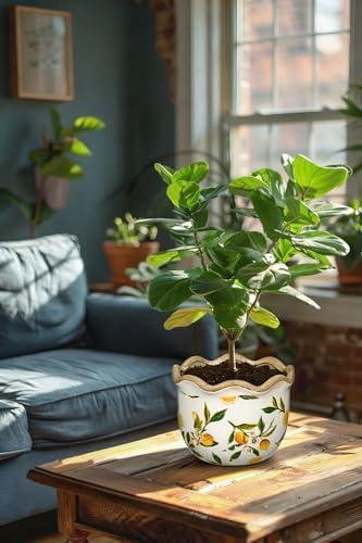 Rustic Farmhouse Ceramic Plant Pots, 6.6 + 5.5 inch Yellow and White Plant Pot with Drainage Holes Set of 2 Vintage Planters with Lemon Patterns Decorative Flower Pots for Indoor and Outdoor Plants - Image 7