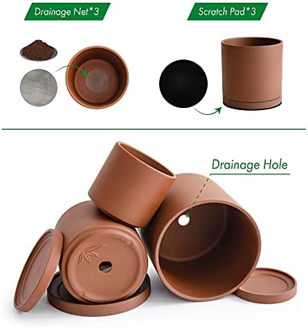 D'vine Dev 3-Pack Rust Terracotta Pots & Saucers, 4/5/6 in, 40-T-A-3 - Image 3