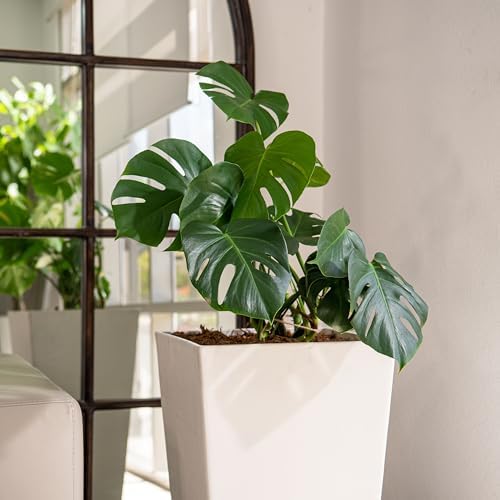 XBrand 30-Inch Tall Tapered Indoor and Outdoor, White Planter - Image 4