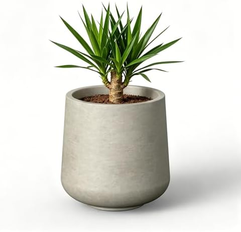 Kante Weathered Beige Concrete Planter, 17.3" Large Round Pot for Decor by Unknown