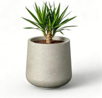 Kante Weathered Beige Concrete Planter, 17.3" Large Round Pot for Decor by Unknown