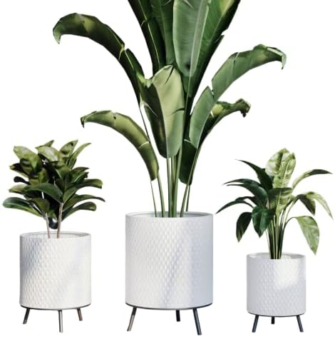 EverNest Claire Honeycomb Neutral Modern White Planter with Nyra Stand, Indoor Plant Pots, SelectBase, Mid-Century Modern, Boho Style Home Decor for Plants (Set of 3, Black) by EverNest