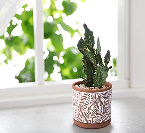 D'vine Dev Set of 2 Terracotta Pots, Leaf Pattern Planter Pot, 4 Inch and 6 Inch, Pot with Drainage Hole and Saucer, Terracotta/White, 31-958-T-1 - Image 5