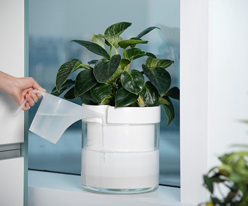 Phoenix Vine 10 Inch Self Watering Planter, White Terracotta Clay Pot with Glass Reservoir for Indoor Plants, Herbs, Flowers, Set of 1, 52-B-I-1 - Image 2