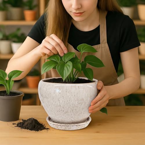 Deep Dream 8 Inch Plant Pots- Ceramic Pots for Plants with Drainage Hole and Saucer, Large Planter Pot for Indoor Plants Outdoor Decor, Beige - Image 5