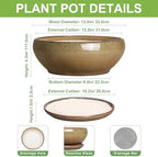 SQOWL Ceramic Bonsai Pots, 12 Inch Succulent Pots with Saucer, Brown - Image 2
