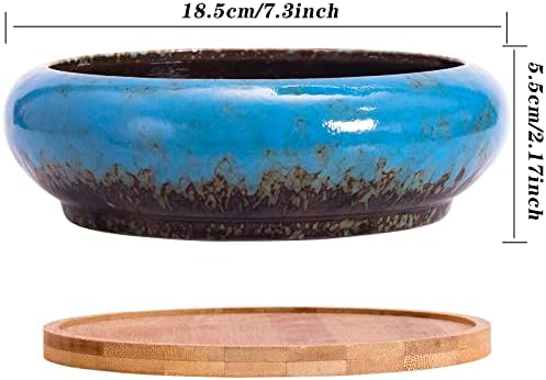 ARTKETTY Succulent Pots - 2 PCS Ceramic Bonsai Pots with Drainage Tray, 7.3 Inch Large Plant Pots Shallow Succulent Planters for Indoor Plants Decorative Cactus Flower Planter Bowl - Image 3