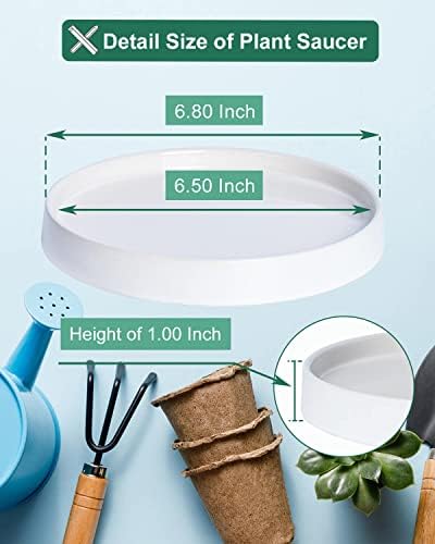 Large Ceramic Plant Saucer and Small Terracotta Pot Plant Saucer - 4 Pcs 7 Inch White Ceramic Plant Tray and 4 pcs 8 Inch Terracotta Plant Saucer for 4,6,7 Inch Plant Pots with Drainage Hole and Gre - Image 3