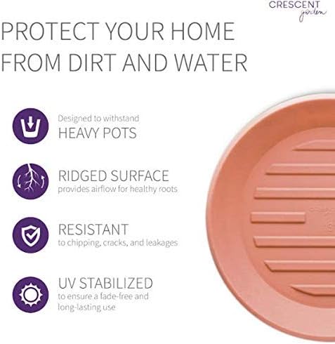 Crescent Garden Universal Round Planter Saucer, Durable Drainage Dish for Plant Pots, Heavy-Duty Plant Dishes Saucer, Indoor & Outdoor Plant Trays - Terracotta-Color (15.5 inch Inner, 20 inch Outer) - Image 6