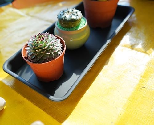 VUWEZ 4 Pack of Plastic Plant Tray Saucer Rectangular 17 18 inch, Planter Trays Saucers for Indoors Outdoor, Plant Water Drip Trays for Flower Pot Planter, Windowsill Plants Tray (7.8 X 17.5'', Black) - Image 7