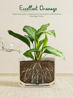LE TAUCI 10 inch Plant Pot, Ceramic Pots for Plants, White - Image 3
