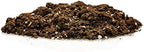 GARDENERA Money Tree Potting Soil Mix for Planting or Repotting Guiana Chestnut, Soil Blended to Properly Grow Money Tree Plants (4 Quart Bag) - Image 5