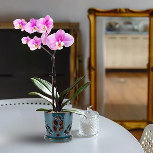W&W Orchid Pot with Holes and Saucer for Repotting, Teal, 5.5 Inch - Image 7