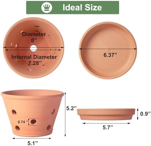 8 inch Terracotta Orchid Pots with Holes and Saucers, 2 Pack Clay Orchid Planter Pots for Repotting, Large Terra Cotta Orchid Pot, Plant Flower Pots for Orchid Indoor Outdoor Promotes Air Circulation - Image 2