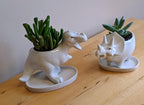 Ceramic Succulent Plant Pot Cactus Plant Pot Flower Pot Container Planter with Drainage Hole Home Office Desk Garden Gift Idea Animal Shaped Flower Pot Cute Vase Pot (4pcs Dinosaur) - Image 5