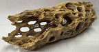 Natural Cholla Wood Chunk Large Air Plant Display Holders Individually Unique Decorative Stands or Holder (Cholla Chunk Large) - Image 4