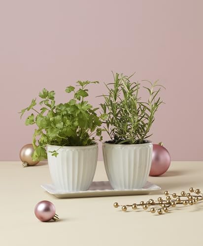 Lenox 896914 French Perle Scallop 3-Piece Herb Pots & Tray Set - Image 4