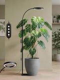 Grow Lights for Indoor Plants,LED Plant Light with Stand for Indoor Growing by GLOWRIUM