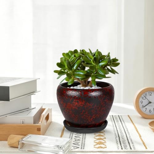 Ceramic Plant Pots With Saucer & Drainage Hole, 8 inch Indoor Flower Pots - Image 6
