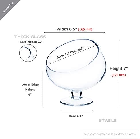 WGV Slant Cut Bowl Glass Vase with Stand, Width 6.5", Height 7", Clear Planter Terrarium, Candy Dish, Fruit Jar for Wedding Party Event, Home Office Decor, 1 Piece - Image 2
