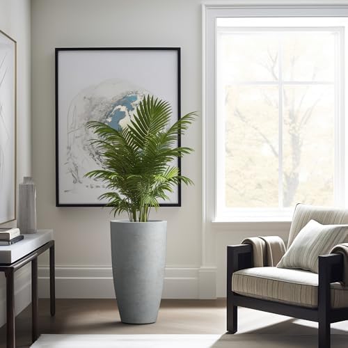 Kante Set of 2 Pale Gray Concrete Round Planters 23.6" Tall Home & Outdoor - Image 3
