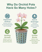vensovo 5 Inch Terracotta Orchid Pots with Holes, 6 Pack Clay Planters - Image 5