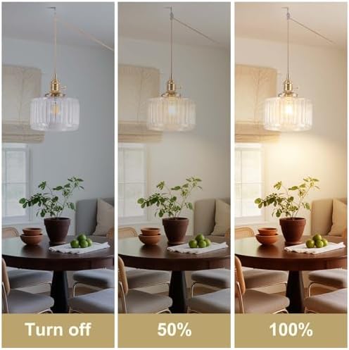 Pendant Light Fixtures,Plug in Hanging Light Fixture 6.6in Glass Pendant Light,E26 Pendant Lighting for Kitchen Island, Bedroom, Dining Room, Living Room - Image 3