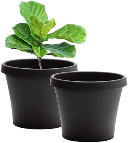 Bloem Terra 14" Plastic Planter, 5 Gallon, Black, 2-Pack by Bloem
