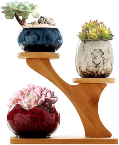 YYW Succulent Pots with Tier Bamboo Stand, Indoor Small Flower Cactus Pots by YYW