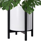D'vine Dev Plastic Pot with Ebony Wood Stand, White, 16 in, 55-C-Z-1 by DvineDevPlanterPotsandStand