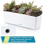Skelang 2-Pack Self Watering Planter, Rectangle Flower Pot with Water Level Indicator, Window Gardening Box for Indoor Plants, Succulent, Sprout, Pepper - Image 5