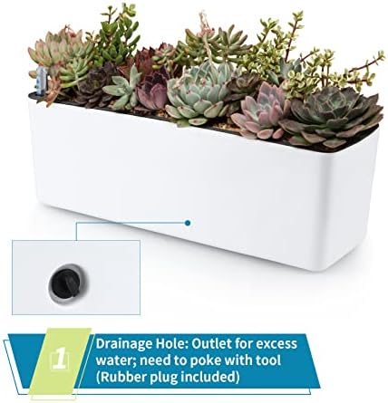 Skelang 2-Pack Self Watering Planter, Rectangle Flower Pot with Water Level Indicator, Window Gardening Box for Indoor Plants, Succulent, Sprout, Pepper - Image 5