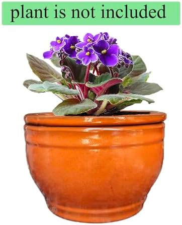 African Violet Pots Self Watering Orange 6 inch - Image 6