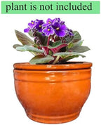 African Violet Pots Self Watering Orange 6 inch - Image 6