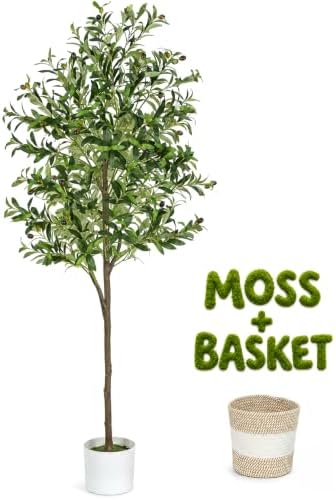 6FT Artificial Olive Tree,Olive Trees Artificial Indoor with Basket by Unknown