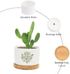 Mughal Flower Ceramic Planter Green Flower Pots for Plants with Drainage Holes and Saucers Pot for Home Desktop Office Windowsill - Image 3