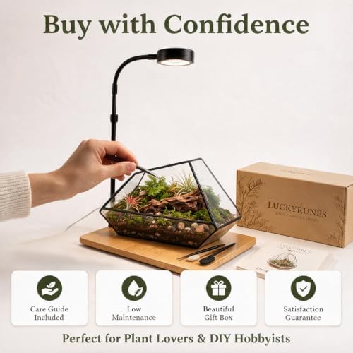 Luckyrunes Complete Glass Terrarium Kit with Live Moss, Polygon - Image 6
